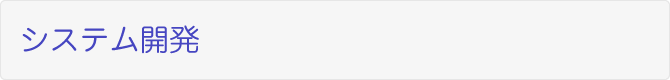 システム開発
